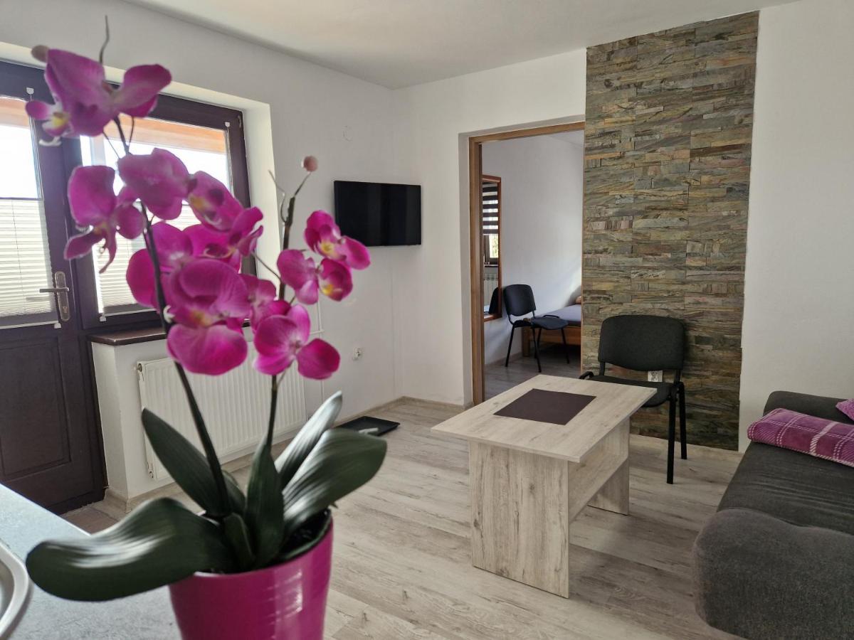 Apartamenty U Krystyny Klikuszowa Exteriör bild